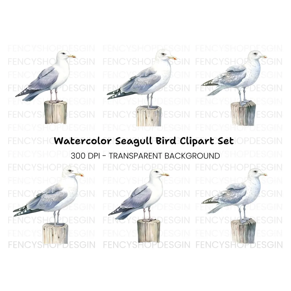 Seagull Clipart Bundle