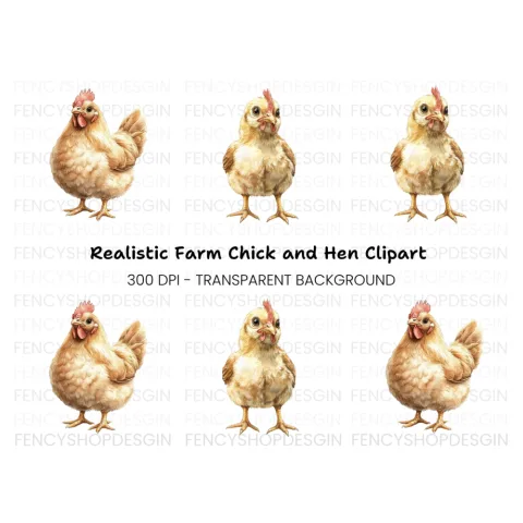 Cute Hen and Chick Clipart Bundle