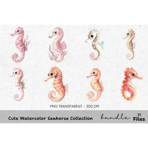 Cute Seahorse Clipart Bundle