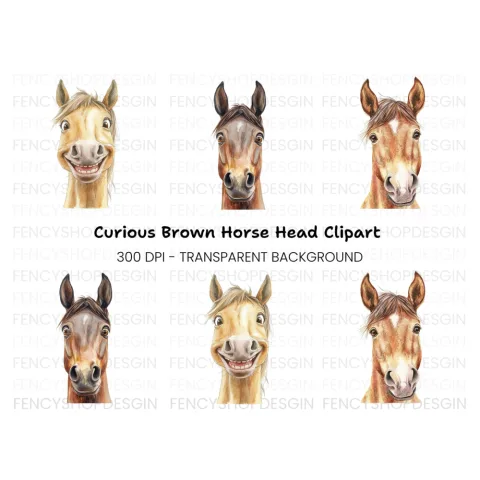 Realistic Horse Head Clipart Bundle