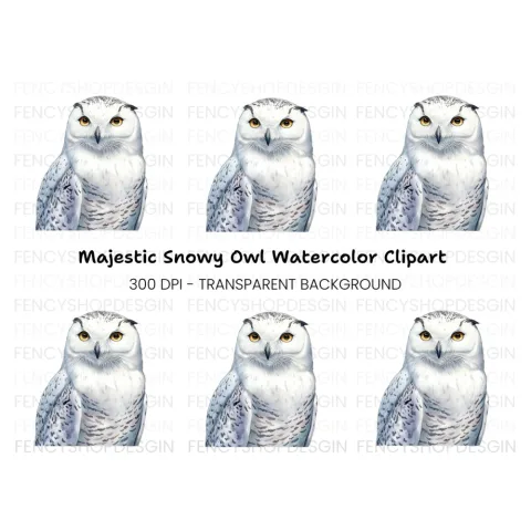 Majestic Snowy Owl Illustration Clipart Bundle