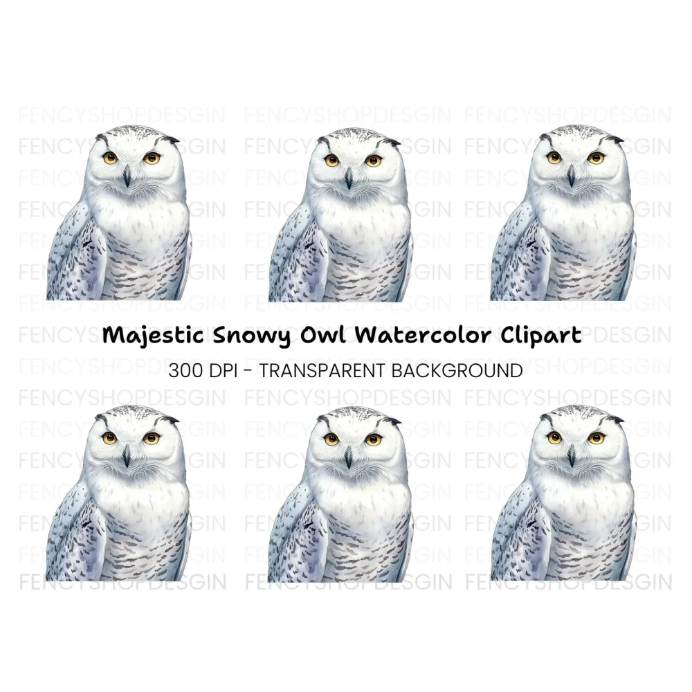 Majestic Snowy Owl Illustration Clipart Bundle