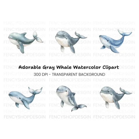 Cute Whale Clipart Bundle