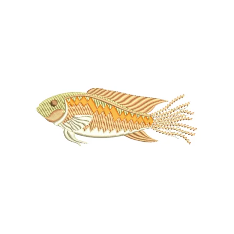 Fish Embroidery Design