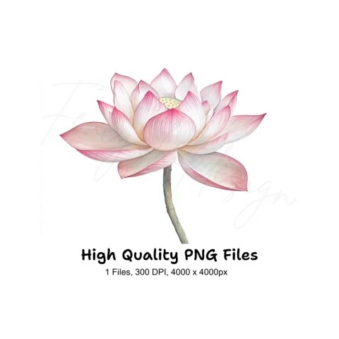 Elegant Pink Lotus Flower Clipart Bundle