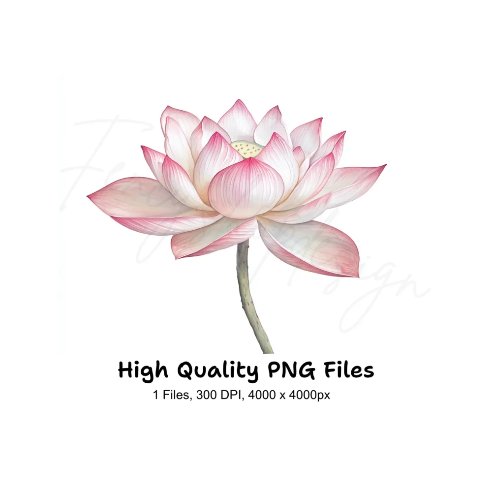 Elegant Pink Lotus Flower Clipart Bundle
