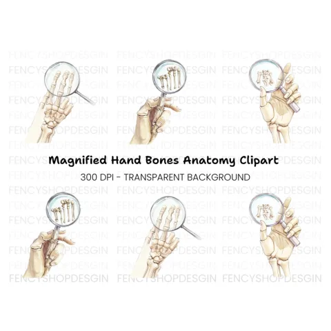 Hand Bones Magnified Clipart Bundle