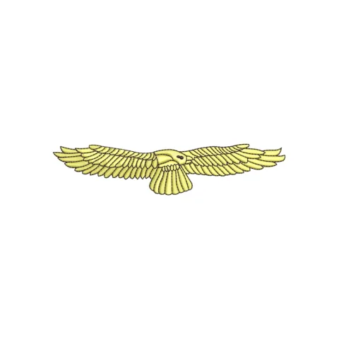 Air Flying Embroidery Design