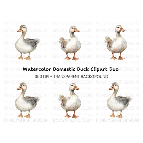 Adorable Goose Clipart Bundle