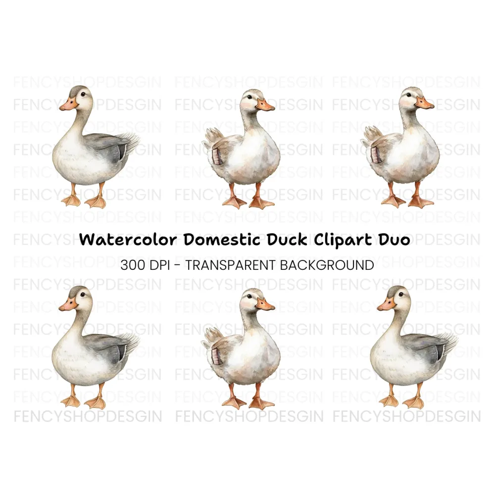 Adorable Goose Clipart Bundle