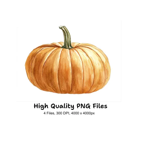 Pumpkin Clipart Bundle