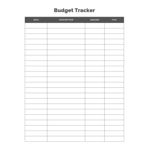 Budget Tracker Bundle