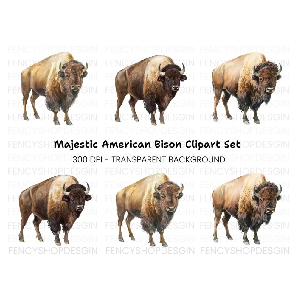 Majestic Bison Clipart Bundle