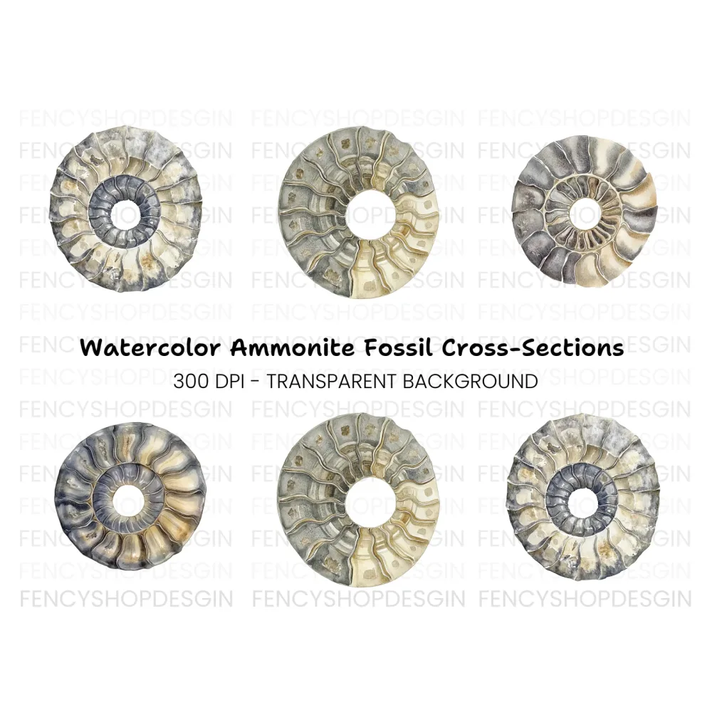 Ammonite Fossil Shells Clipart Bundle