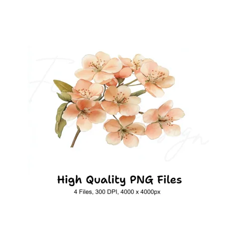 Cherry Blossom Clipart Bundle