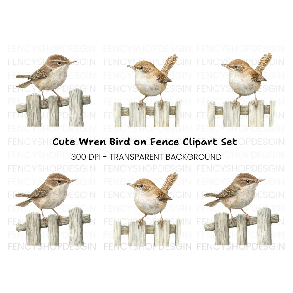 Cute Wren Birds on Fence Clipart Bundle