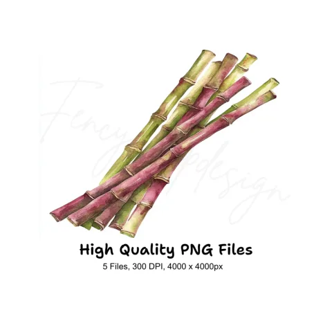 Bamboo Stalks Clipart Bundle