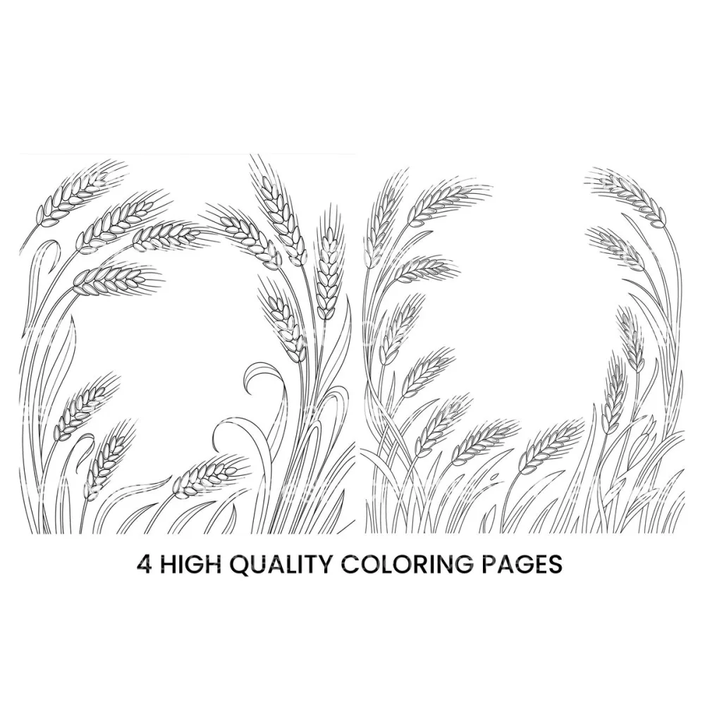 Wheat Ears Harvest Coloring Books