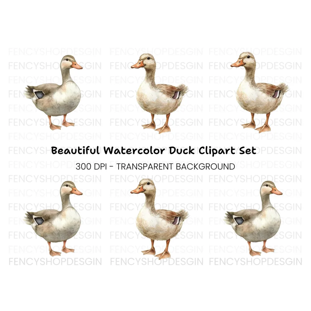 Cute Duck Clipart Bundle
