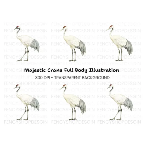 Body Crane Bird Clipart Bundle