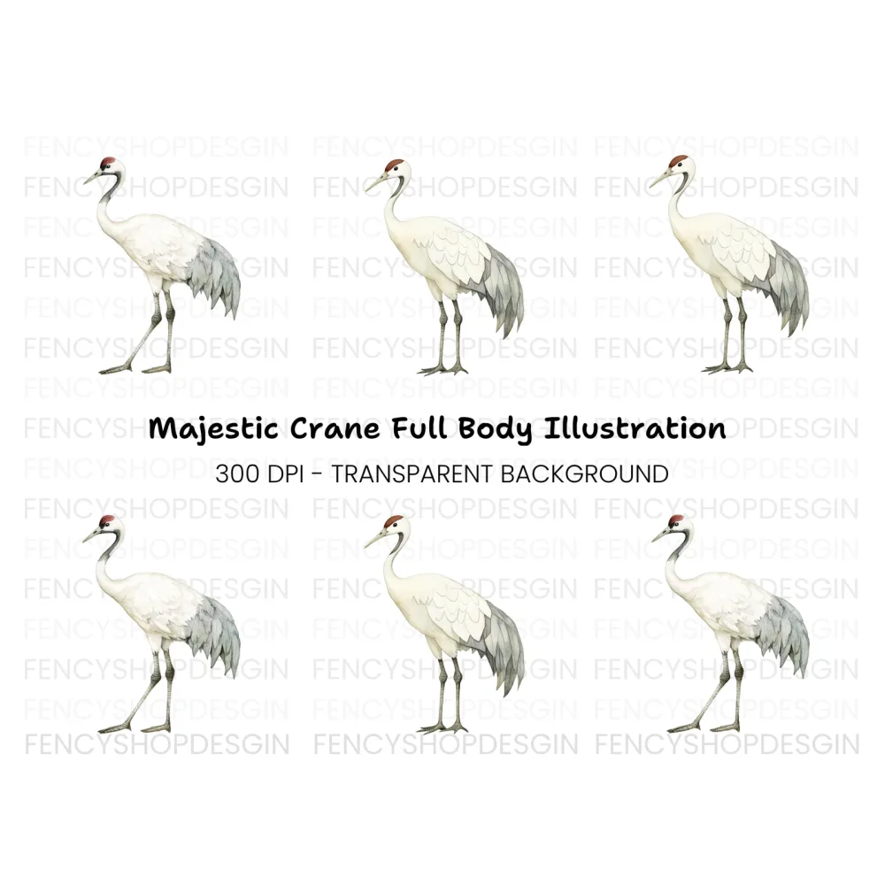 Body Crane Bird Clipart Bundle