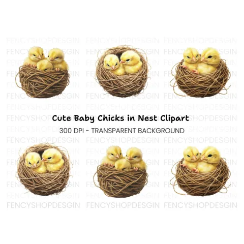 Cute Baby Chicks in Nests Clipart Bundle