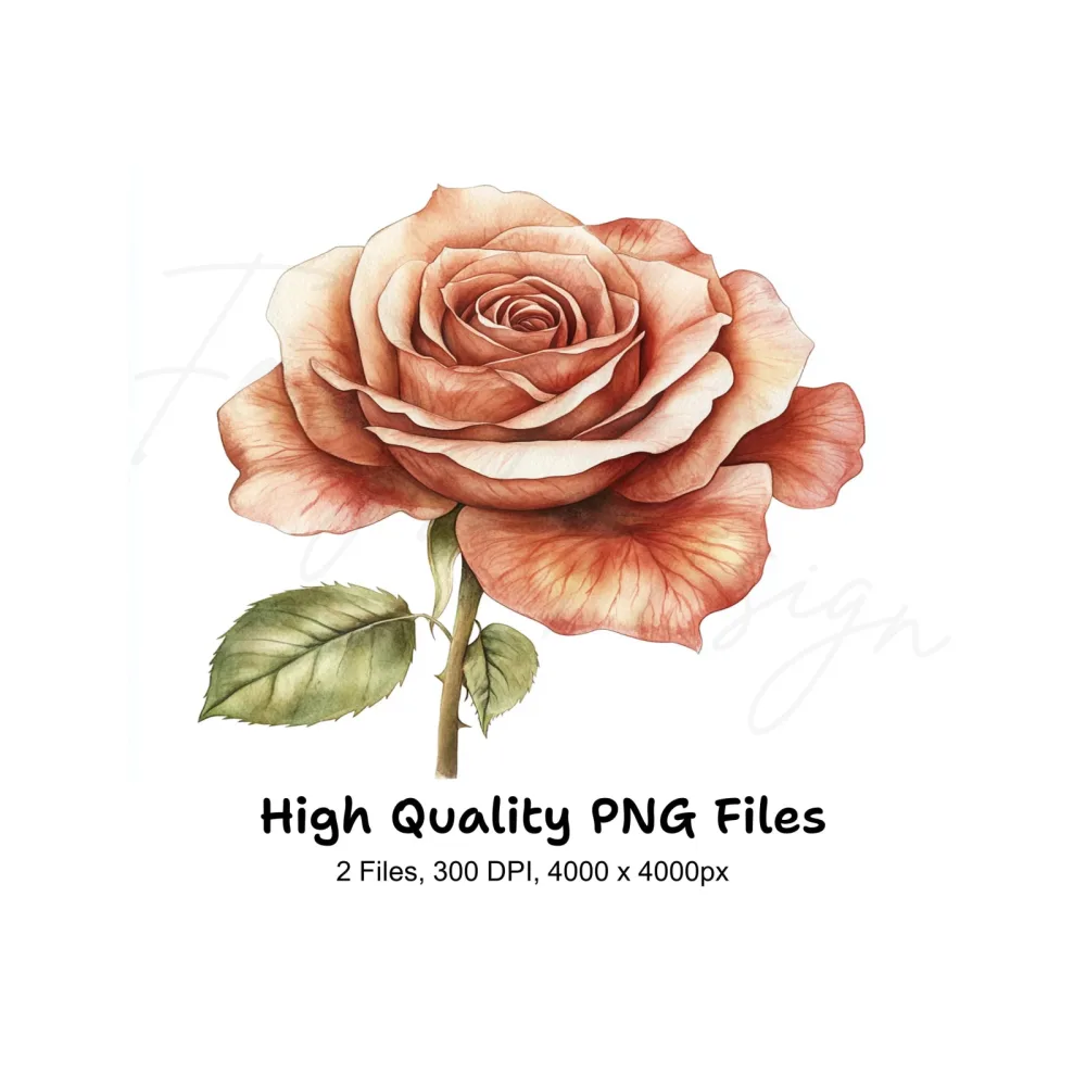 Elegant Rose Clipart Bundle