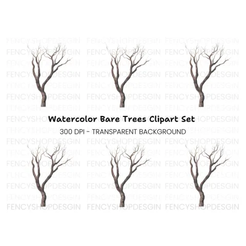 Bare Tree Branches Clipart Bundle