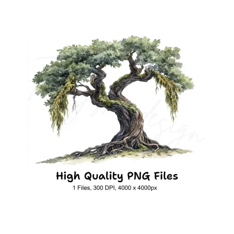 Ancient Oak Tree Clipart Bundle