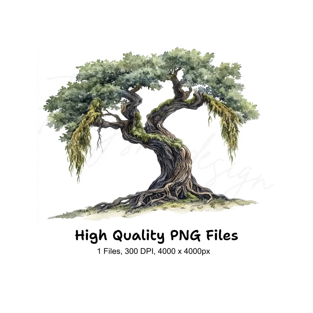 Ancient Oak Tree Clipart Bundle