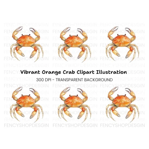 Orange Crab Clipart Bundle