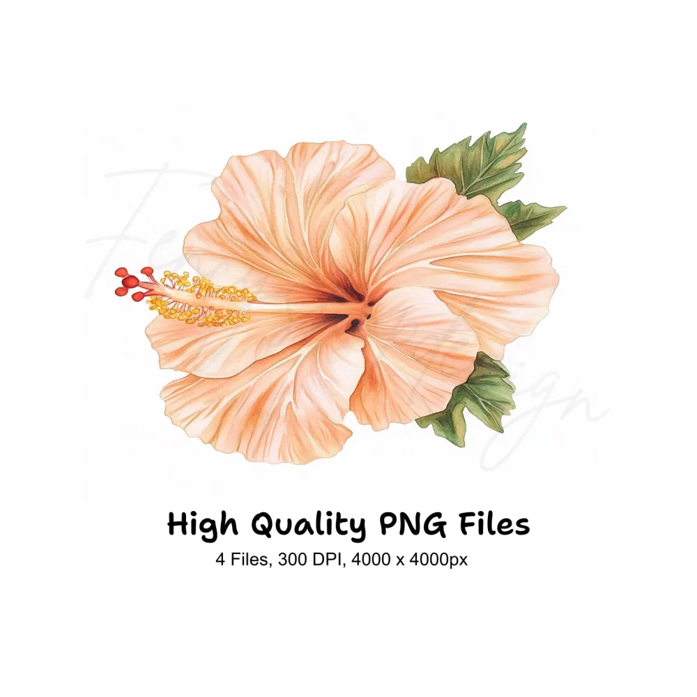 Exquisite Hibiscus Clipart Bundle