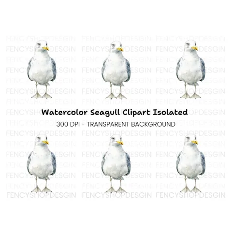 Seagull Illustration Clipart Bundle