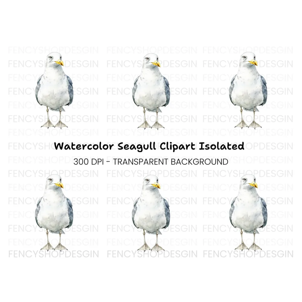 Seagull Illustration Clipart Bundle