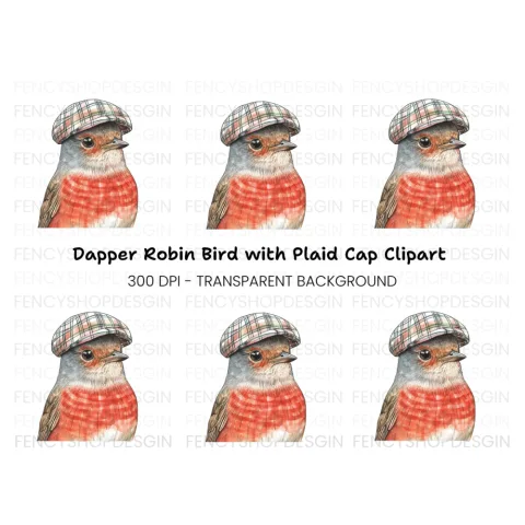Charming Robin in Plaid Cap Clipart Bundle