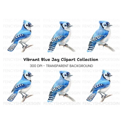 Realistic Blue Jay Perched Clipart Bundle