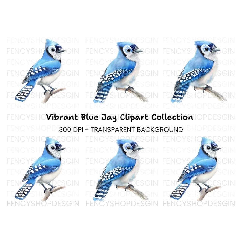Realistic Blue Jay Perched Clipart Bundle