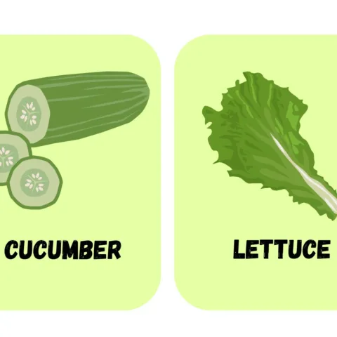 Vegetable Flashcards for Kids