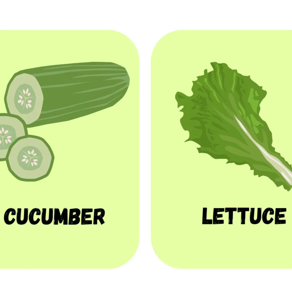 Vegetable Flashcards for Kids