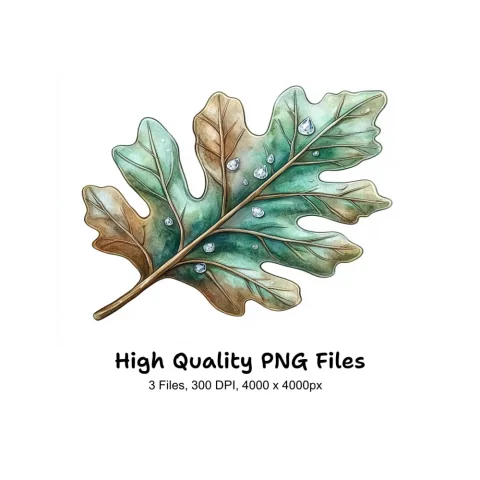 Oak Leaves with Dew Drops Clipart Bundle