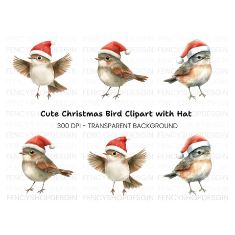 Christmas Birds Clipart Bundle