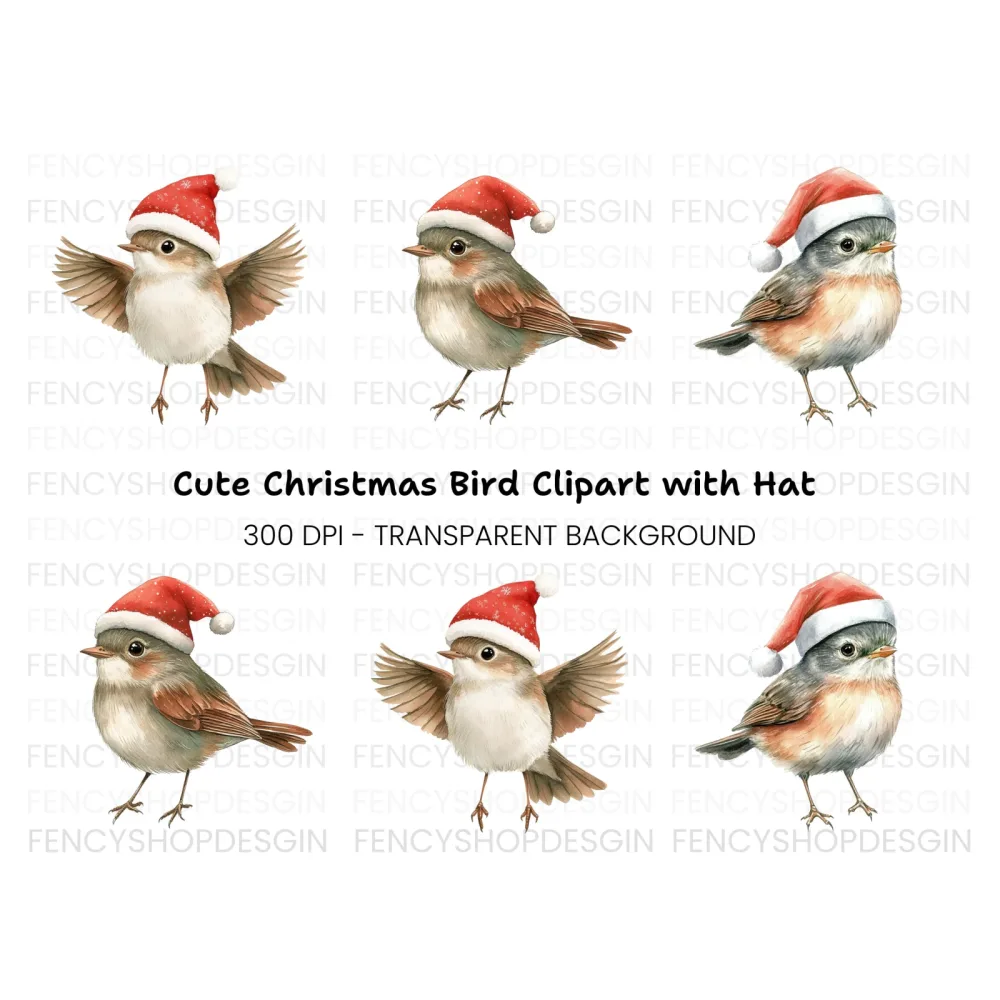 Christmas Birds Clipart Bundle