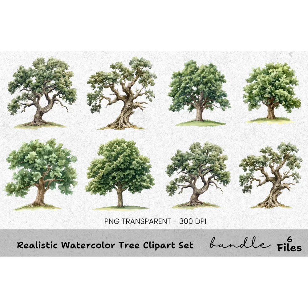 Realistic Tree Clipart Bundle