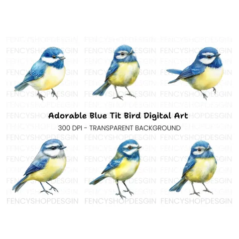 Cute Blue Tit Birds Clipart Bundle