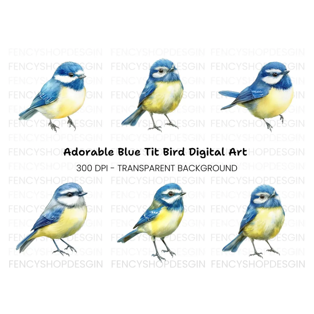 Cute Blue Tit Birds Clipart Bundle