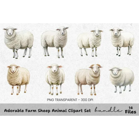 Adorable Farm Sheep Animal Clipart Bundle