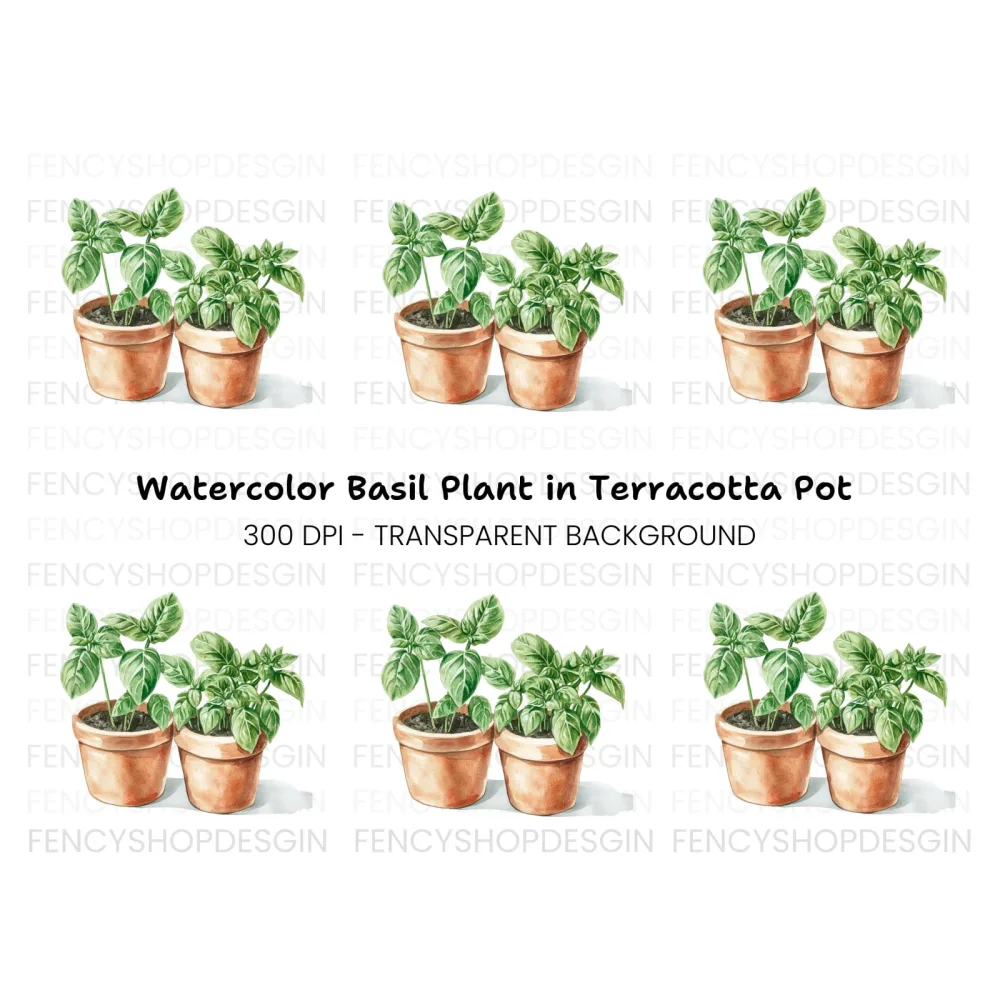Fresh Basil Plants in Terracotta Pots Clipart Bundle