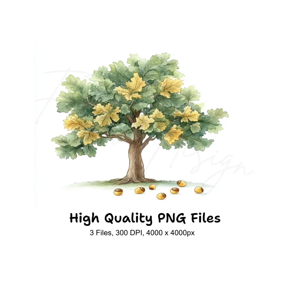 Oak Tree Clipart Bundle