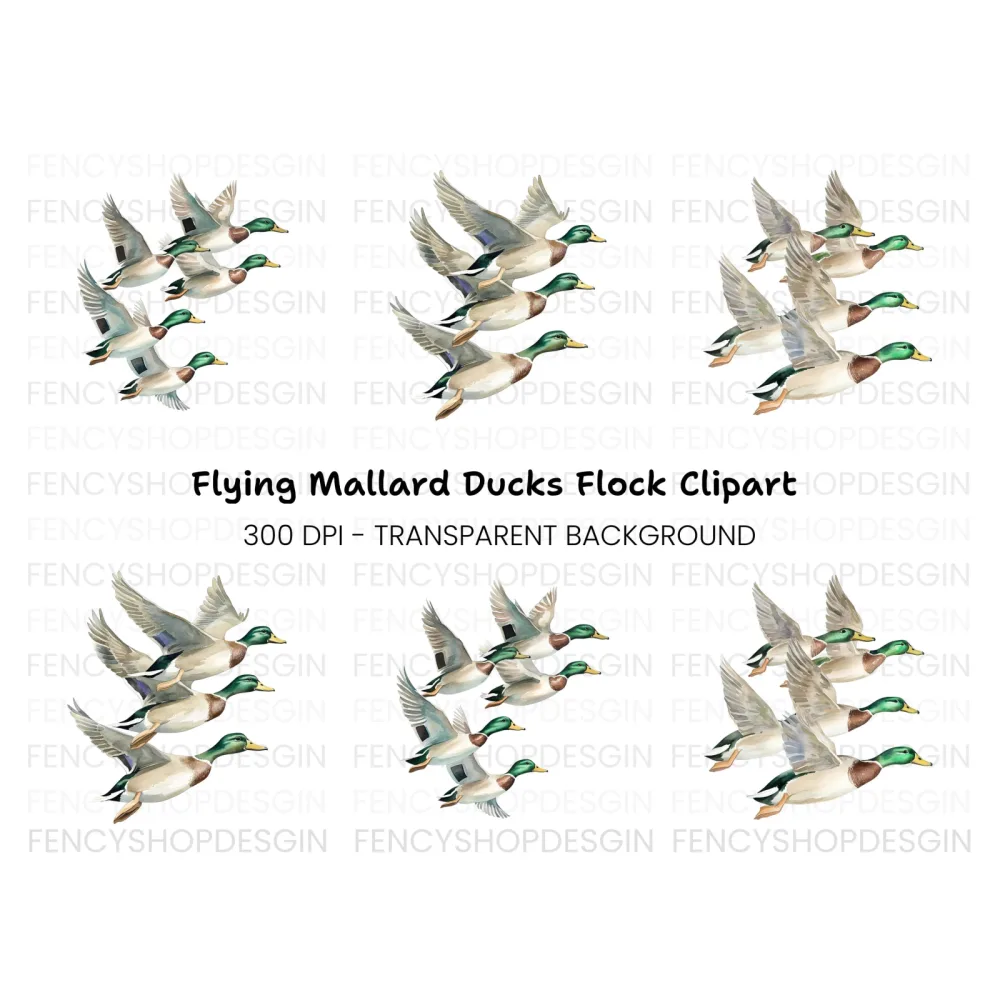 Flying Mallard Ducks Clipart Bundle