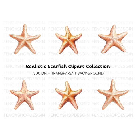 Starfish Clipart Bundle